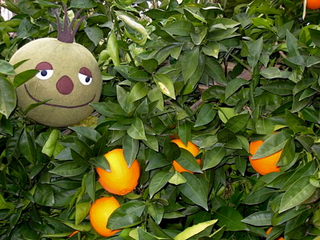 Illustration for article titled These LocoRoco Plushies Are Adorable, Handmade